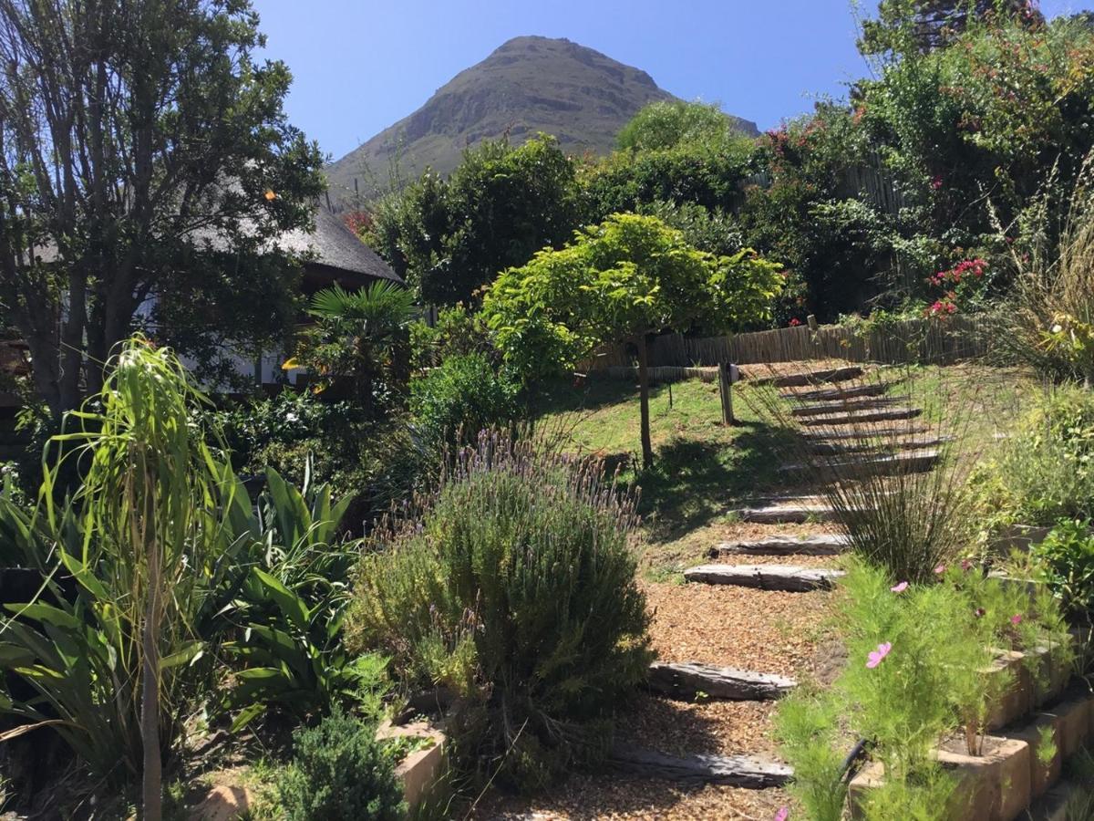 Oceangolf Guest House Noordhoek Exterior photo