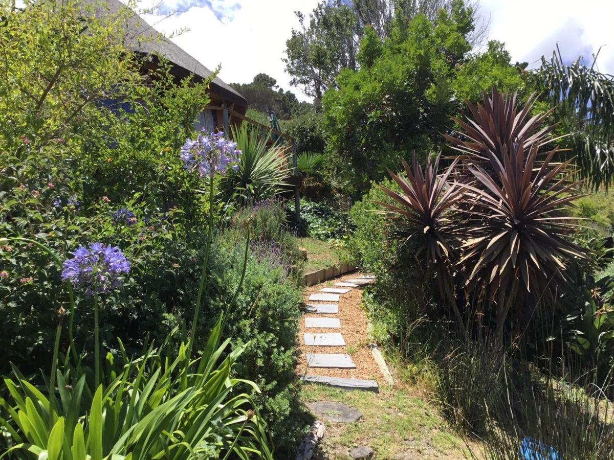 Oceangolf Guest House Noordhoek Exterior photo