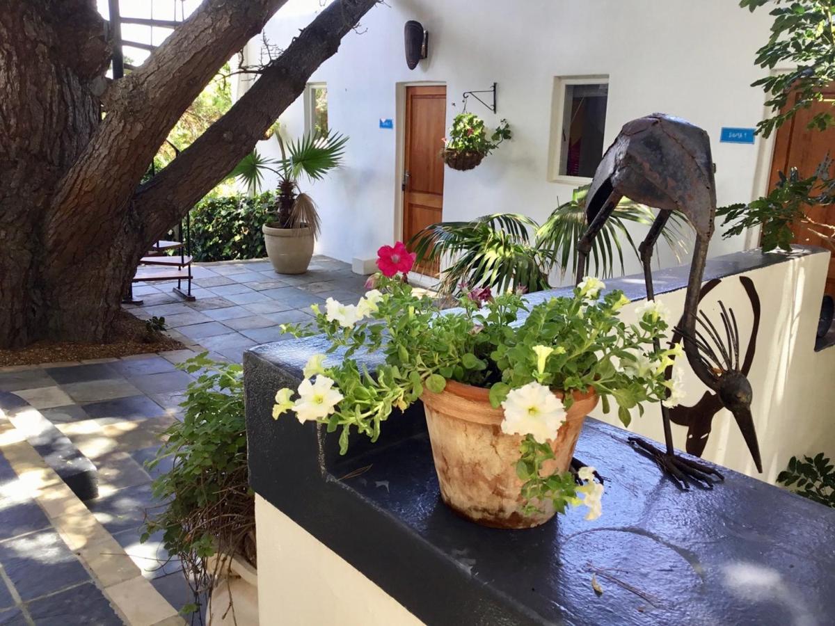 Oceangolf Guest House Noordhoek Exterior photo