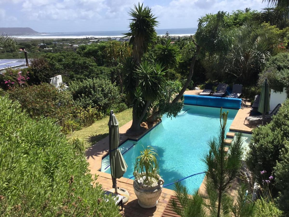 Oceangolf Guest House Noordhoek Exterior photo