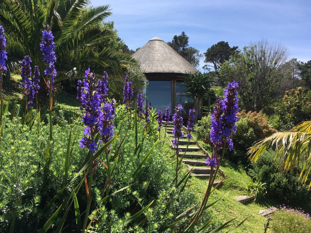 Oceangolf Guest House Noordhoek Exterior photo